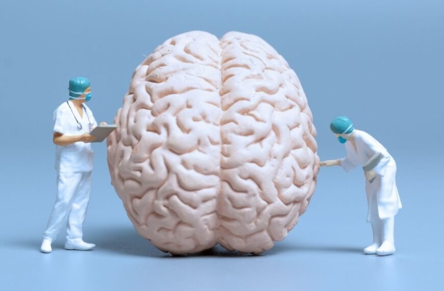 “Cérebro em destaque sendo observado por miniaturas de profissionais de saúde, representando o cuidado com a névoa mental na menopausa e a busca por clareza e bem-estar cognitivo.