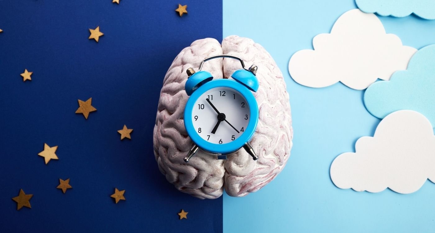 cérebro com relógio azul sobre fundo dividido entre noite e dia, simbolizando o ritmo circadiano e a melatonina na menopausa