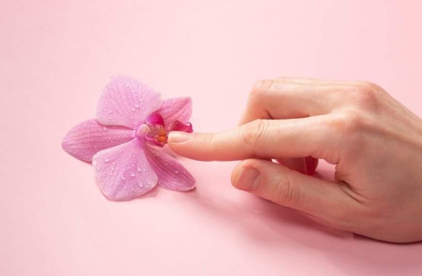 Mão tocando delicadamente uma flor rosa, simbolizando autocuidado e masturbação na menopausa de forma sensível e respeitosa.