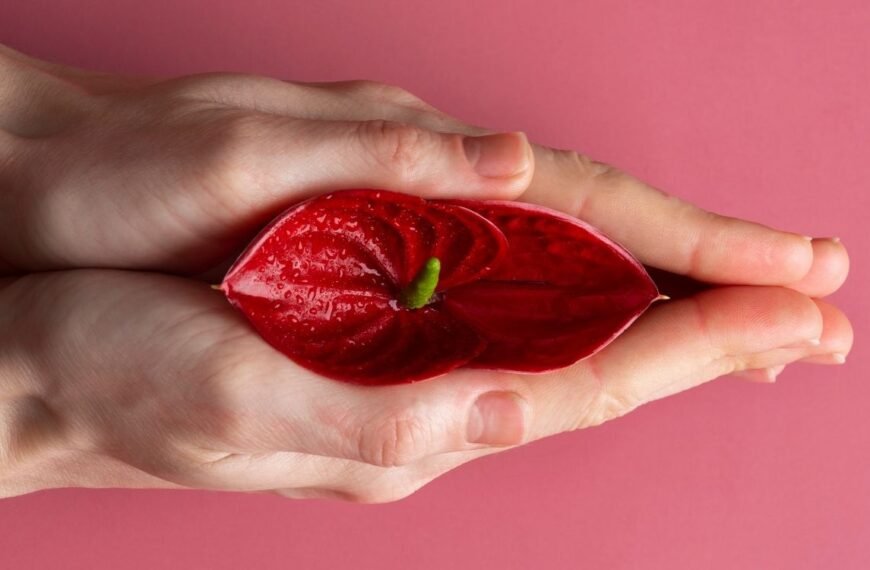 Mãos femininas segurando delicadamente uma flor vermelha sobre fundo rosé, em composição simbólica que representa a síndrome geniturinária da menopausa, com foco em cuidado, intimidade e saúde feminina.