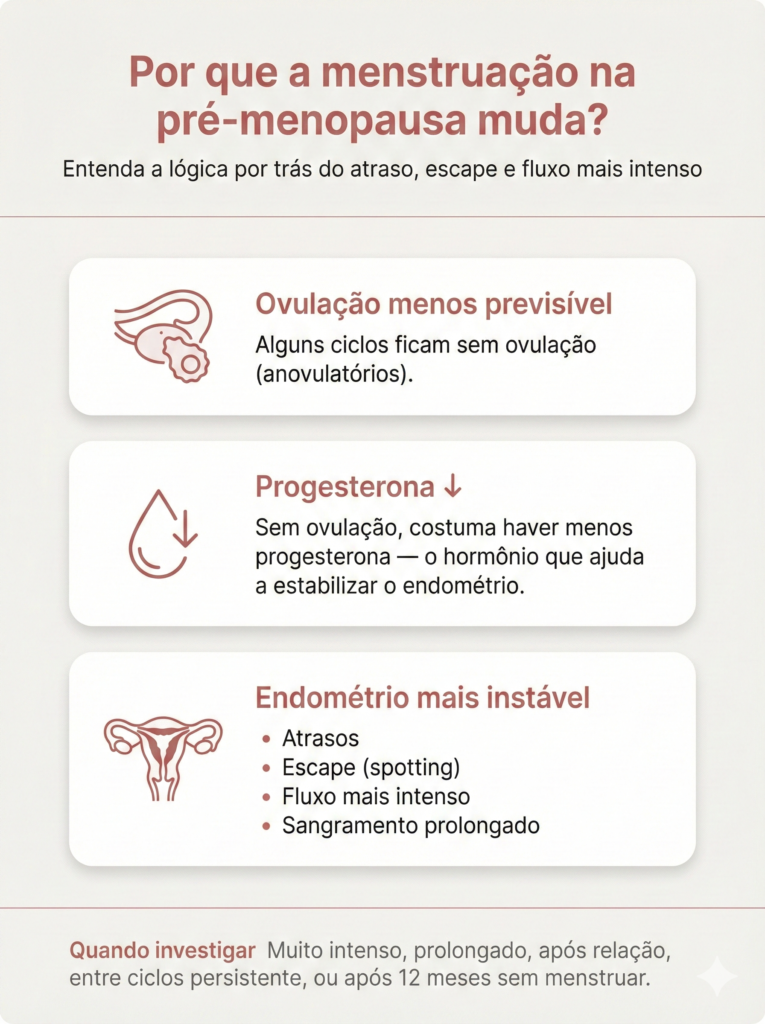 Infográfico educativo vertical com fundo claro e detalhes em tom terracota. O título principal pergunta: "Por que a menstruação na pré-menopausa muda?" seguido do subtítulo: "Entenda a lógica por trás do atraso, escape e fluxo mais intenso".O conteúdo é dividido em três cartões explicativos ilustrados com ícones lineares:Ícone de ovário e folículo. Título: "Ovulação menos previsível". Texto: "Alguns ciclos ficam sem ovulação (anovulatórios)."Ícone de gota com seta para baixo. Título: "Progesterona ↓". Texto: "Sem ovulação, costuma haver menos progesterona — o hormônio que ajuda a estabilizar o endométrio."Ícone do sistema reprodutor feminino. Título: "Endométrio mais instável". Lista de consequências: "Atrasos", "Escape (spotting)", "Fluxo mais intenso" e "Sangramento prolongado".No rodapé, uma faixa destaca: "Quando investigar: Muito intenso, prolongado, após relação, entre ciclos persistente, ou após 12 meses sem menstruar."