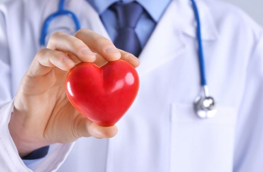 médico segurando um coração de borracha representando insuficiencia cardíaca na menopausa
