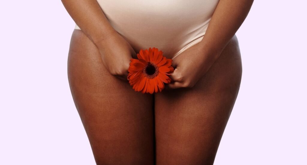 Ilustração educativa mostrando a ação local do estrogênio vaginal nos tecidos da vagina durante a menopausa.